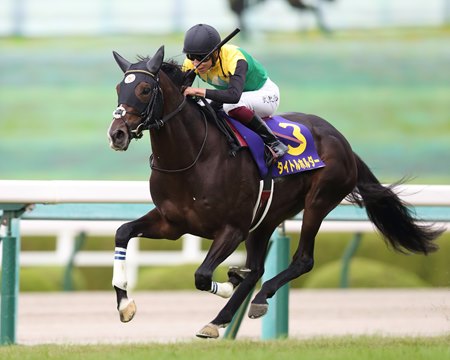 Titleholder wins the Kikuka Sho at Hanshin Racecourse