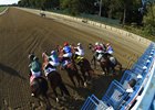Hockey Arena to Usher in Decade of Change at Belmont - BloodHorse