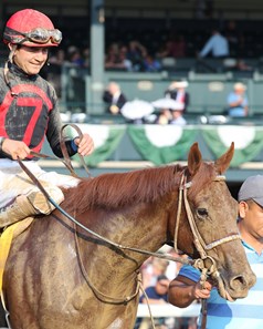 Rattle N Roll Horse Profile Bloodhorse