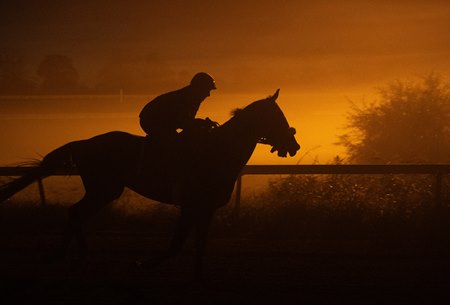 Breeders' Cup Mile contender In Love gallops Oct. 27 at The Thoroughbred Center