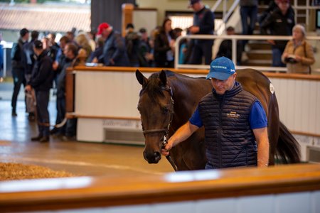 The Time Test colt consigned as Lot 1193 in the ring at the Tattersalls October Yearling Sale