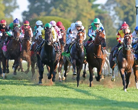 The Bourbon Stakes field races on the turf at Keeneland