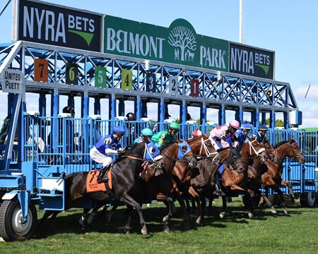 Horses breaking from the gate at Belmont Park
