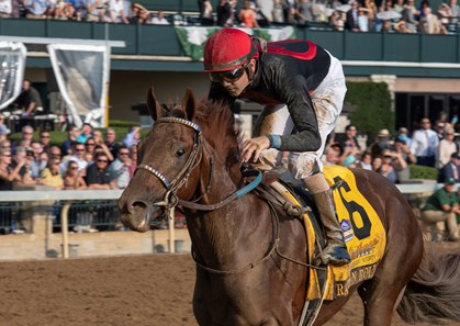 Rattle N Roll - Horse Profile - BloodHorse