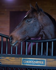 Ghostzapper is a Canadian Horse Racing Hall of Fame nominee for the category of male horse