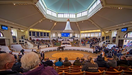 Sales ring at Tattersalls
