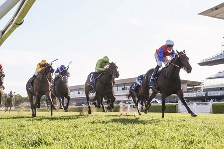 Racing at Randwick