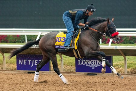 Hot Rod Charlie gallops Nov. 2 at Del Mar