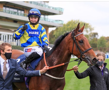 Trueshan after his 2021 British Champions Long Distance Cup victory at Ascot Racecourse