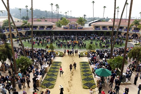 The paddock at Del Mar