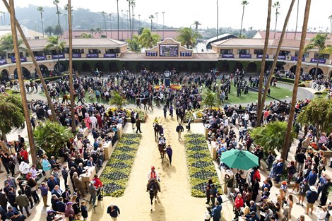 Complete 2024 Breeders’ Cup Entries