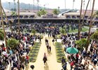 Scenes at the paddock before the Turf Sprint at Del Mar on November 6, 2021.