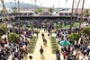 Scenes at the paddock before the Turf Sprint at Del Mar on November 6, 2021.