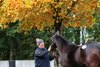 Lot 255, 2021 Goffs Autumn HIT Sale