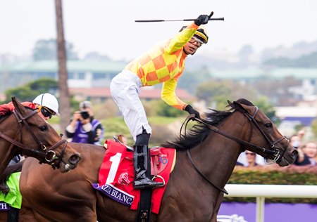 Pizza Bianca wins the 2021 Breeders' Cup Juvenile Fillies Turf at Del Mar