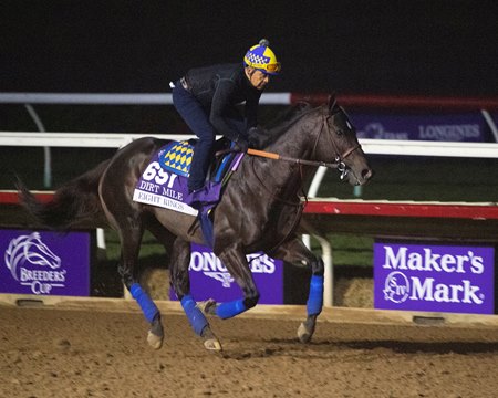 Eight Rings exercising ahead of the 2021 Breeders' Cup