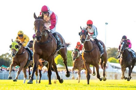 Western Empire, shown winning the 2021 Asian Beau Stakes at Ascot Racecourse, will make a second attempt in the Northerly Stakes at the Western Australia track