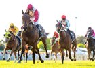 Western Empire wins 2021 Asian Beau Stakes at Ascot Racecourse in Perth, Australia