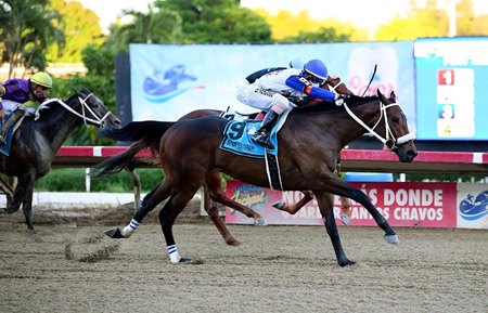 Racing at Hipodromo Camarero