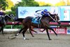 Senor Testaferro wins the 2021 Clasico Angel T. Cordero Jr. S. at Hip&#243;dromo Camarero
First stakes winner for Midnight Storm