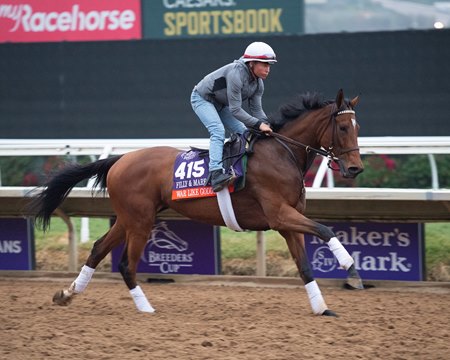 War Like Goddess trains Nov. 2 at Del Mar
