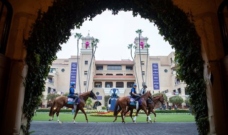The paddock at Del Mar