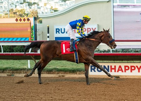 Messier strides out in the Bob Hope Stakes at Del Mar