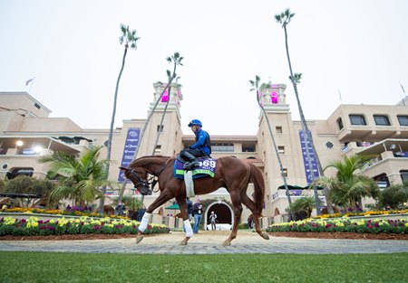 Space Blues walks around the paddock Nov. 4 at Del Mar