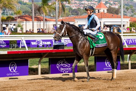Aloha West after winning the Breeders' Cup Sprint at Del Mar