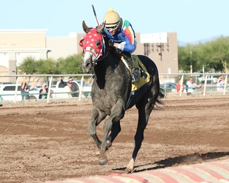 Blazingbellablu wins the 2021 City of Phoenix Stakes at Turf Paradise