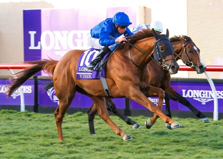 Yibir wins the 2021 Breeders' Cup Turf at Del Mar