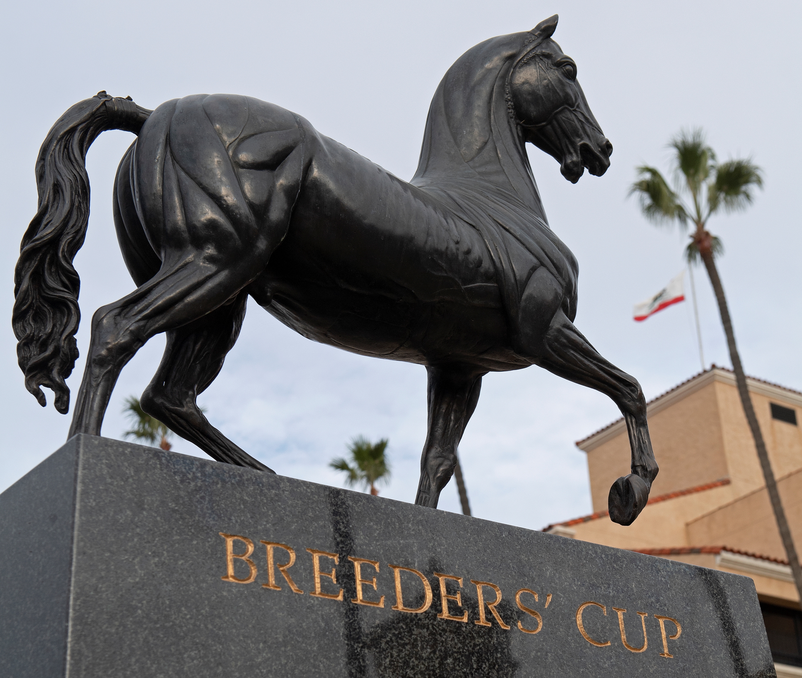 Meet the Field for the 2024 Breeders' Cup Classic - Slideshow