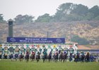 The runners break for the Breeders&#39; Cup Juvenile Fillies Turf
Del Mar 5.11.21 