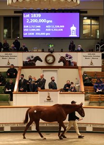 Waldlied in the ring at the Tattersalls December Mares Sale