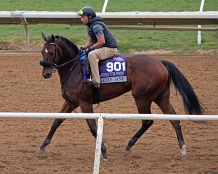 Averly Jane trains Nov. 2 at Del Mar
