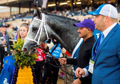 Jimdandy: Cap ou pas cap?