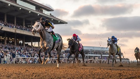 Breeders' Cup Winner Twilight Gleaming Heads Mamzelle - BloodHorse