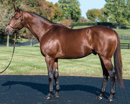 Audible at WinStar Farm