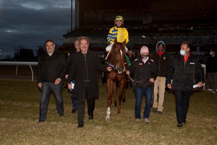 Pink Lloyd - Horse Profile - BloodHorse