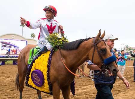 Corniche and jockey Mike Smith after winning the Breeders' Cup Juvenile at Del Mar
