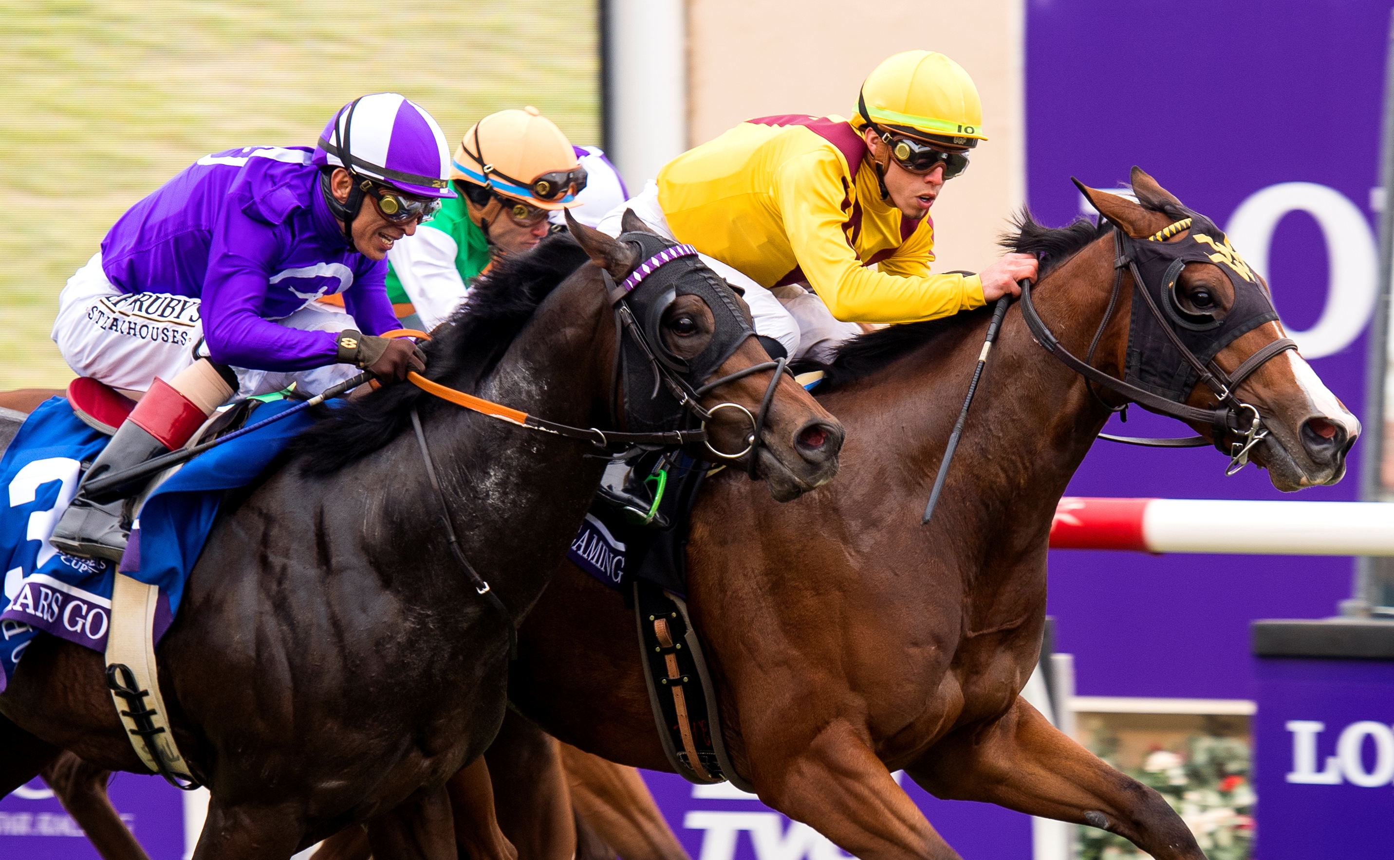 Breeders' Cup Juvenile Turf Sprint: 2018 - 2024 - Slideshow