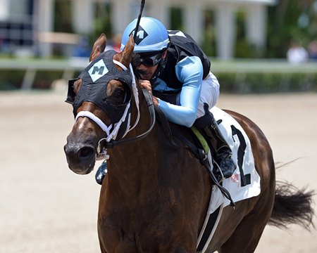 Tune In wins a starter allowance in May at Gulfstream Park