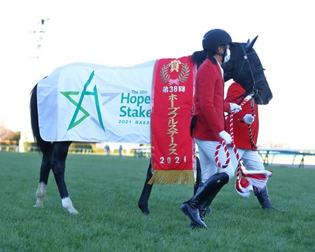 Killer Ability after winning the Hopeful Stakes at Nakayama Racecourse