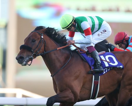 Efforia wins the 2021 Arima Kinen at Nakayama Racecourse