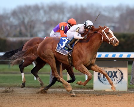 Aqueduct Racing Calendar 2024 Eleen Harriot