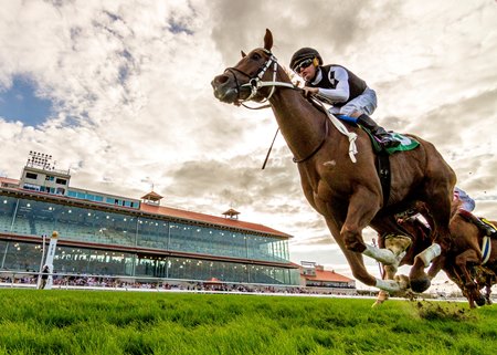 Racing at Fair Grounds