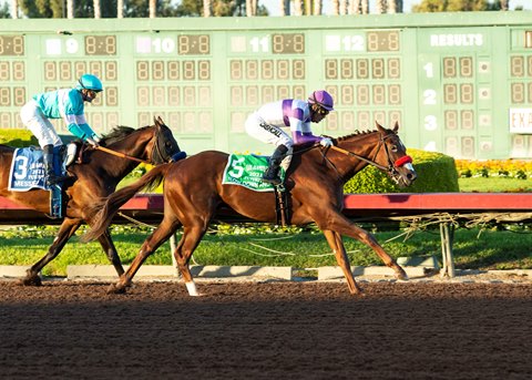 Jim Rome has horse in Mine That Bird Derby at Sunland Park racetrack