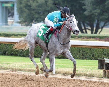 Derby Day Lassie - Horse Profile - BloodHorse