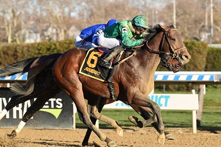 Miles D wins the 2021 Discovery Stakes at Aqueduct Racetrack