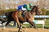 Miles D wins the 2021 Discovery Stakes at Aqueduct
